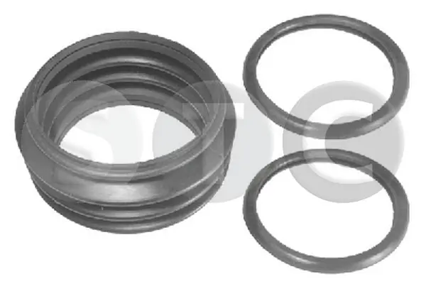 T401569 STC