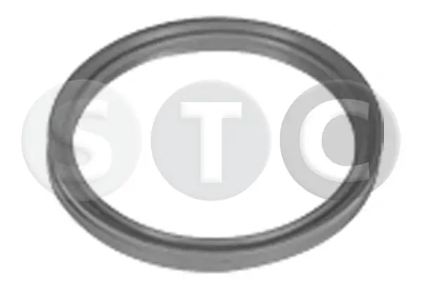T498720 STC