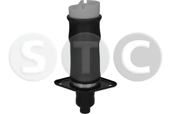 T442984 STC