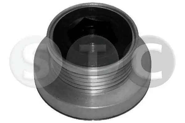 Comprar Polea del alternador Renault DUSTER I HS a bajo precio