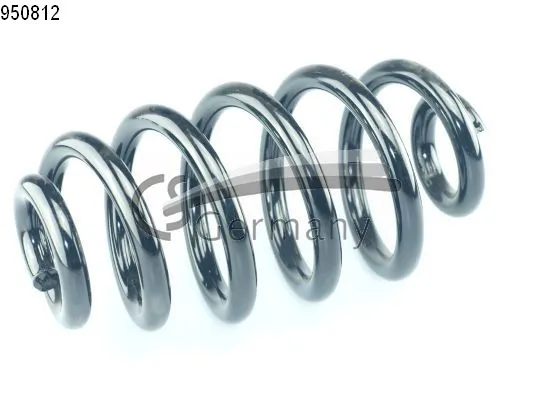 Muelle trasero Audi A4 (2002-2005)