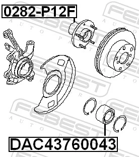 0282P12F Febest Cubo delantero