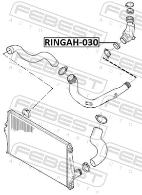 RINGAH030 Febest