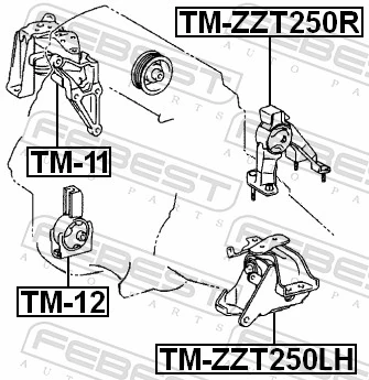 TMZZT250R Febest Taco de motor