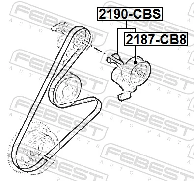 2187CB8 Febest Polea tensora