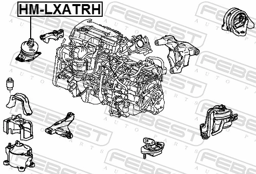 HMLXATRH Febest Soporte de motor derecho