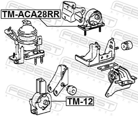 TMACA28RR Febest Taco de motor