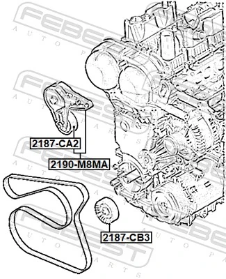 Tensor de la correa trapecial Ford S-Max monovolumen (CDR) (2015 - 2026) precio, desde 48,76 EUR