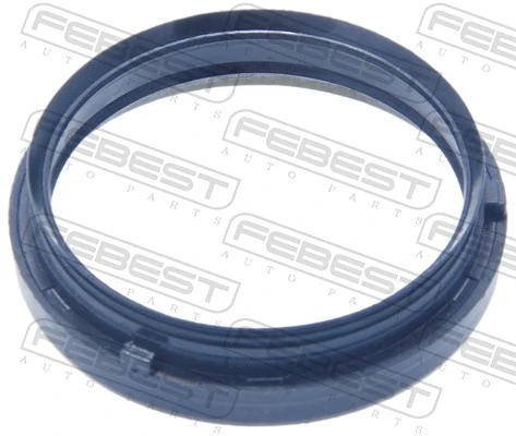 95MBS61700817X Febest
