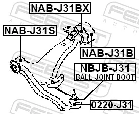 NBJBJ31 Febest Guardapolvo de rótula inferior
