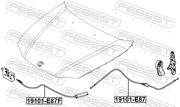 19101E87 Febest