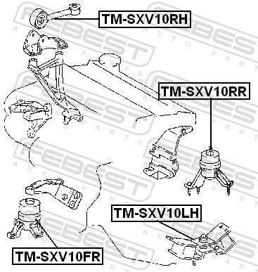 Comprar Soporte de motor delantero Toyota Camry III V10