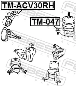 TMACV30RH Febest Cojín del motor superior derecho