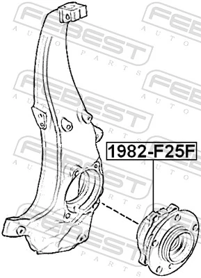 1982F25F Febest Cubo delantero