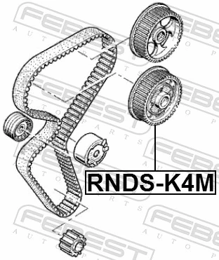 RNDSK4M Febest Engranaje árbol de levas lado de admisión