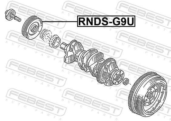 RNDSG9U Febest