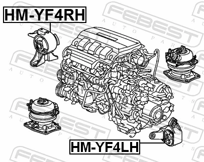 HMYF4RH Febest Soporte de motor derecho