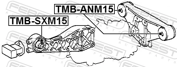 TMBSXM15 Febest Silentblock delantero del soporte de la traviesa del diferencial trasero