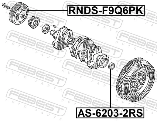 RNDSF9Q6PK Febest