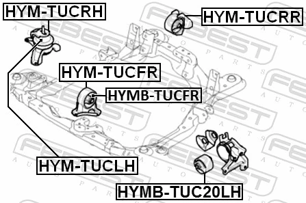 HYMBTUCFR Febest Soporte delantero de motor con silentblock