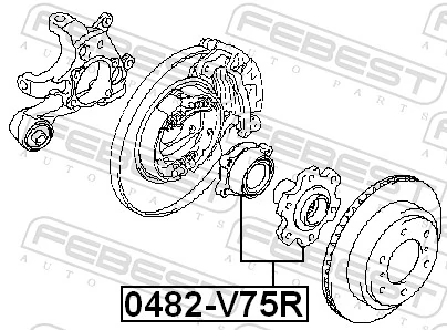 0482V75R Febest Buje de rueda trasero