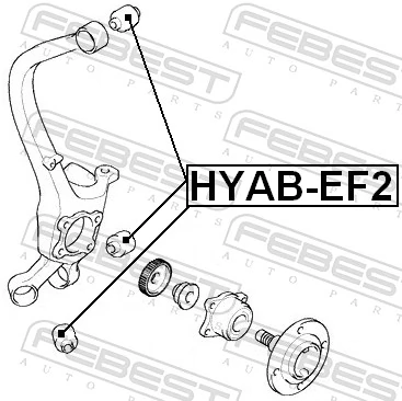 HYABEF2 Febest Buje de mangueta trasera