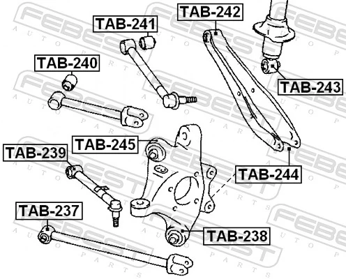 TAB244 Febest Buje de mangueta trasera