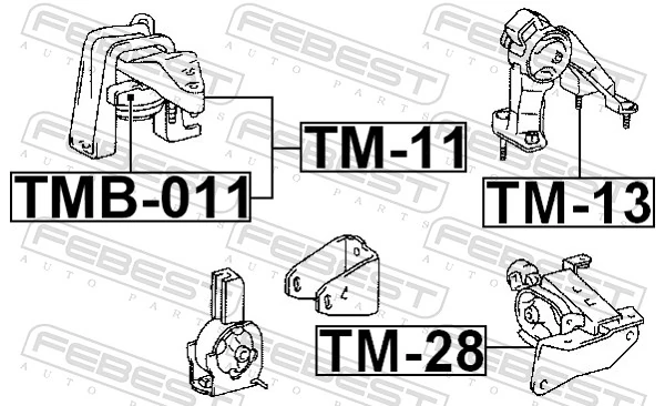 TM11 Febest Soporte de motor derecho