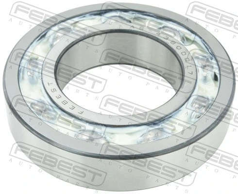 AS43800017 Febest