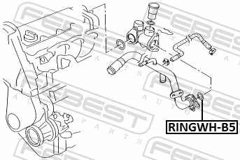 RINGWHB5 Febest Anillo de estanqueidad del sistema de refrigeración