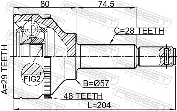 2110TT9A48 Febest Junta homocinética
