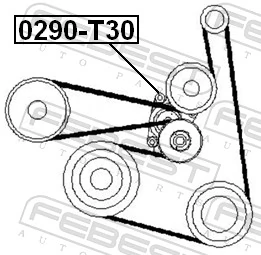 0290T30 Febest Tensor de correa de alternador