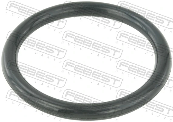 RINGAH009 Febest