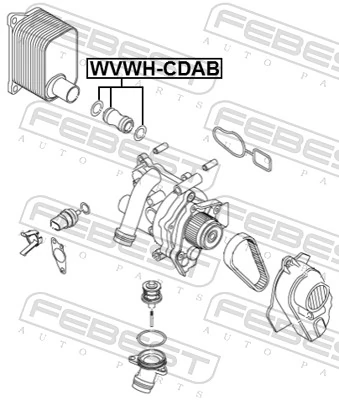 Manguera de refrigeración Volkswagen AMAROK  (2010-2026)