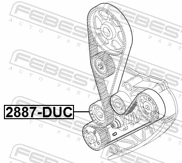2890DUC Febest Tensor, correa dentada
