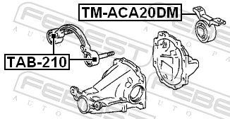 TMACA20DM Febest Silentblock del soporte del diferencial trasero