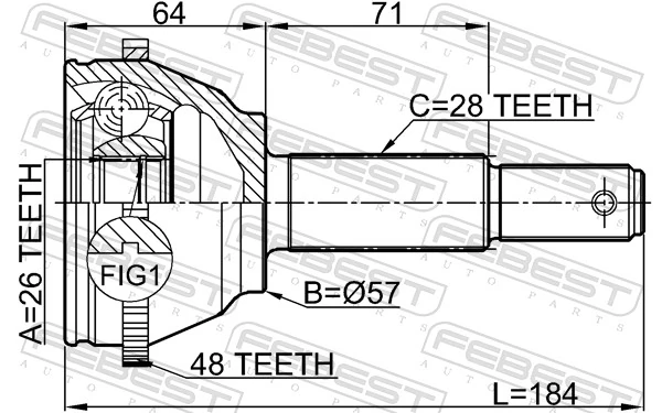  Junta homocinetica Ford Transit 5