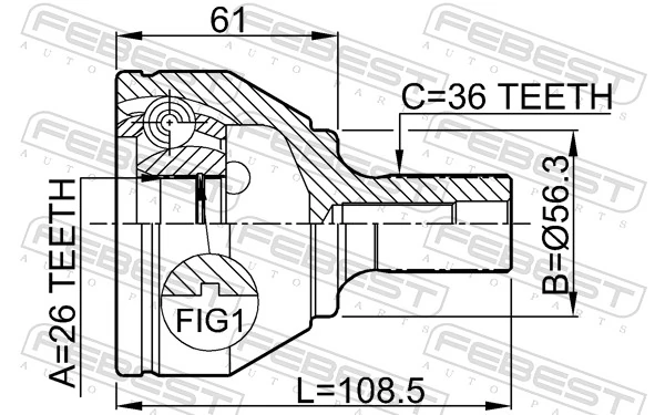  Junta homocinetica Ford Focus 2