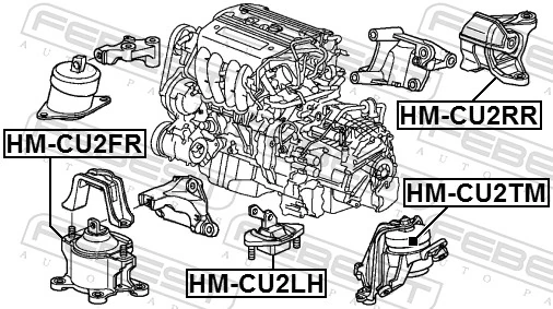 HMCU2FR Febest Soportes de motor delantero