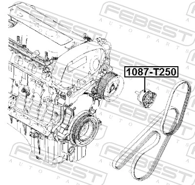 1087T250 Febest Polea tensora
