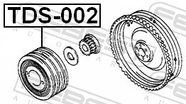 TDS002 Febest Dámper