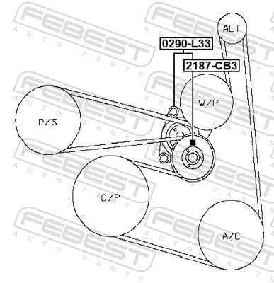 Tensor de correa poli V 119554BA0A Renault (RVI)
