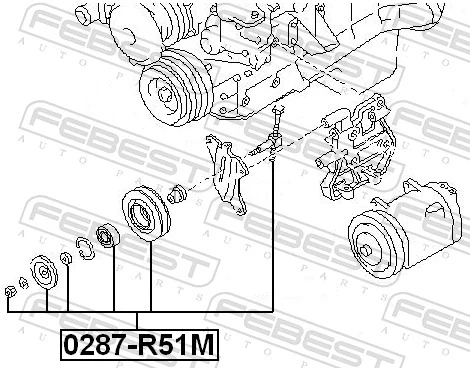 0287R51M Febest Polea tensora