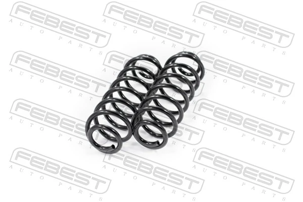 Muelle trasero para Skoda SuperB II 3T5