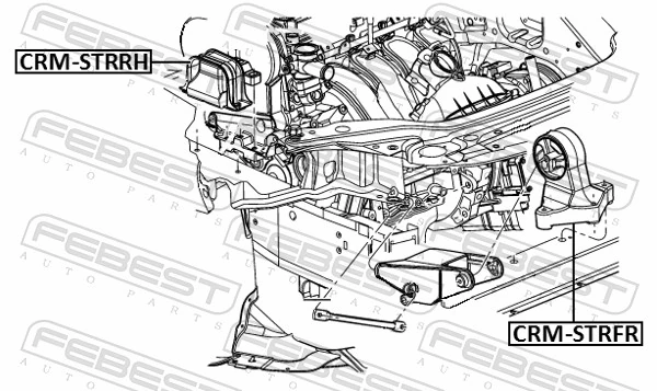 CRMSTRRH Febest Soporte de motor derecho