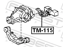 TM115 Febest Silentblock del soporte del diferencial trasero