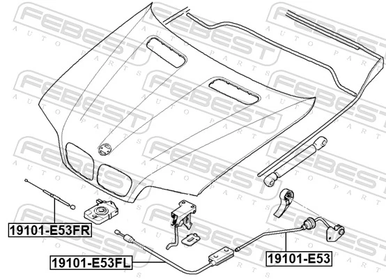 Comprar Cable de capó del motor BMW X5  E53