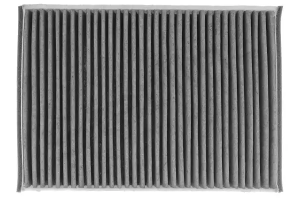 SFKF9606C Starline Filtro antipolen