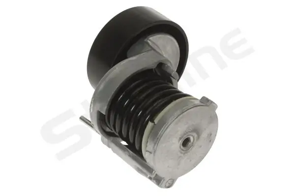 Tensor de correa, correa poli V Volkswagen Tiguan 1 5N1, 5N2