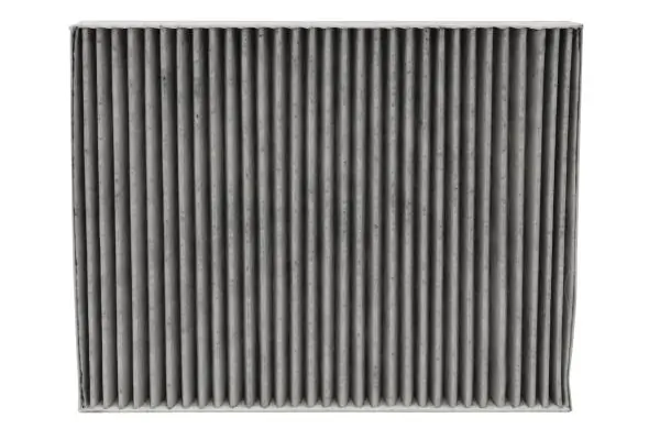 SFKF9448C Starline Filtro antipolen